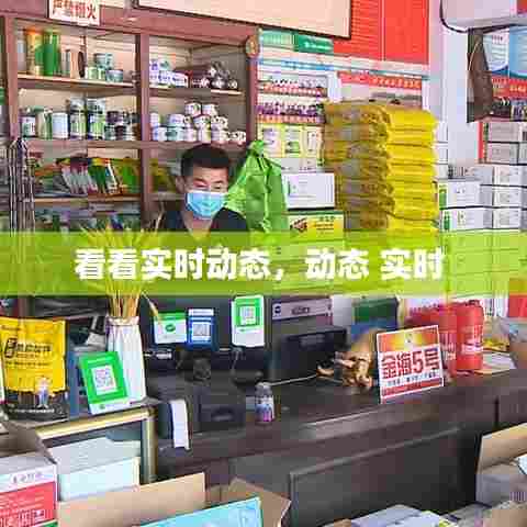 看看实时动态,动态 实时