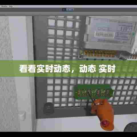 看看实时动态,动态 实时