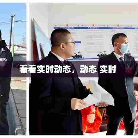 看看实时动态,动态 实时