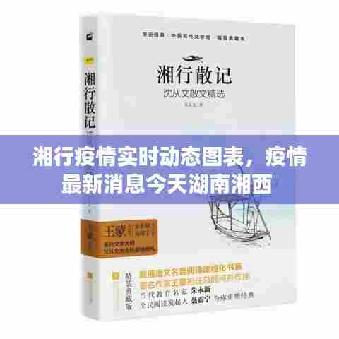 湘行疫情实时动态图表,疫情最新消息今天湖南湘西