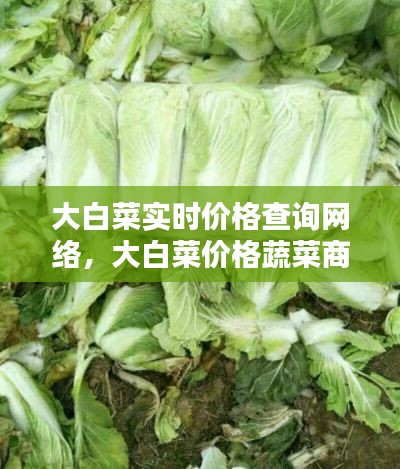 后会难期 第6页