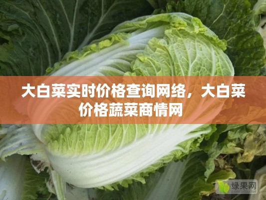 大白菜实时价格查询网络,大白菜价格蔬菜商情网