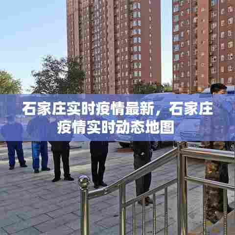 石家庄实时疫情最新，石家庄疫情实时动态地图 
