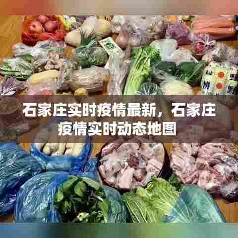 石家庄实时疫情最新,石家庄疫情实时动态地图