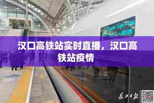 汉口高铁站实时直播,汉口高铁站疫情