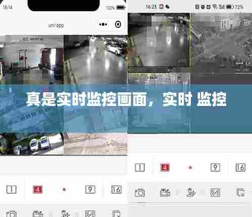 真是实时监控画面,实时 监控