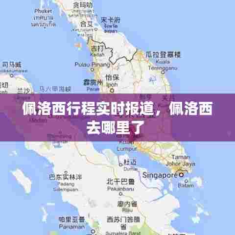 佩洛西行程实时报道,佩洛西去哪里了