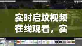 实时启坟视频在线观看,实时启坟视频在线观看