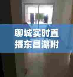 聊城实时直播东昌湖附近,聊城东昌湖附近小区