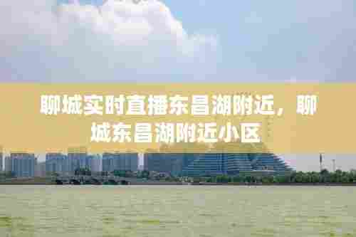 聊城实时直播东昌湖附近,聊城东昌湖附近小区