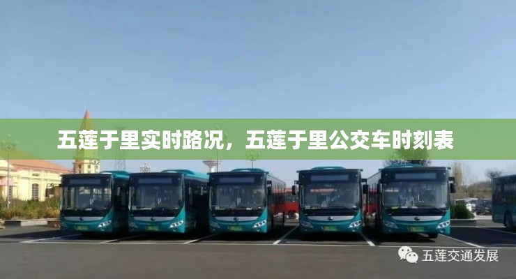 五莲于里实时路况,五莲于里公交车时刻表