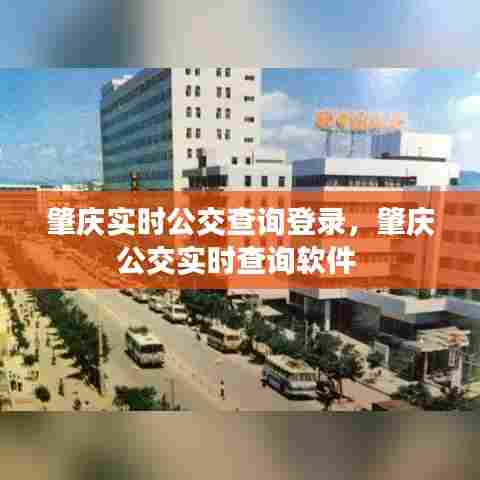 肇庆实时公交查询登录,肇庆公交实时查询软件