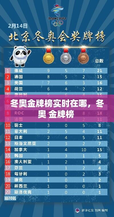 冬奥金牌榜实时在哪，冬奥 金牌榜 