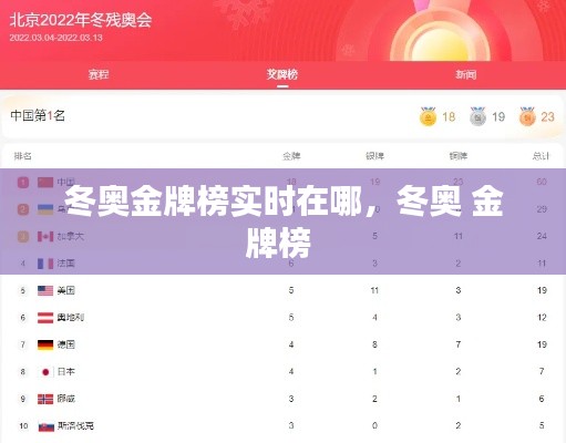 冬奥金牌榜实时在哪,冬奥 金牌榜