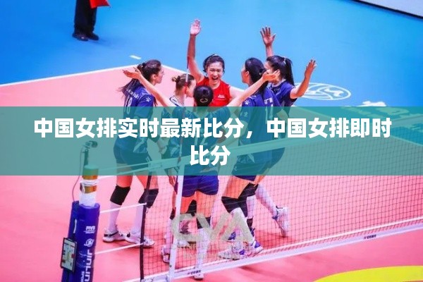 中国女排实时最新比分,中国女排即时比分