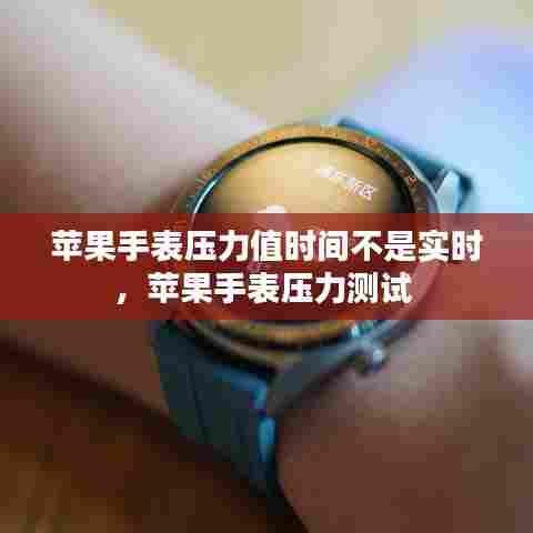 苹果手表压力值时间不是实时,苹果手表压力测试