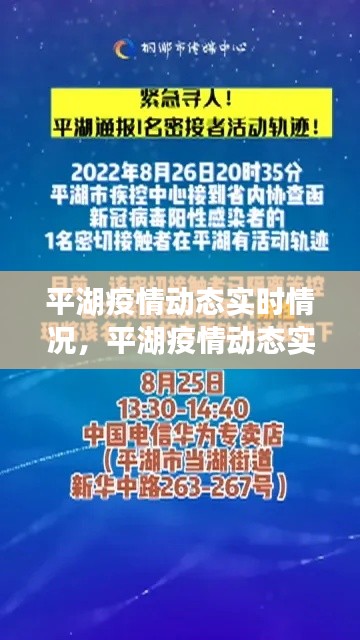 平湖疫情动态实时情况,平湖疫情动态实时情况最新