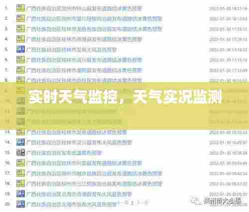 实时天气监控,天气实况监测