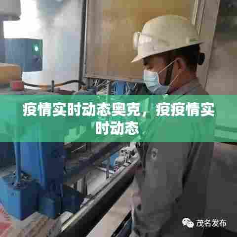 疫情实时动态奥克,疫疫情实时动态