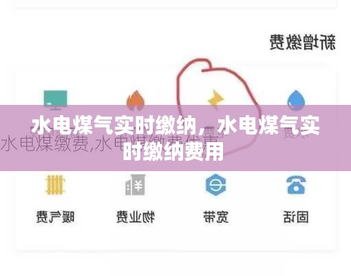 水电煤气实时缴纳,水电煤气实时缴纳费用