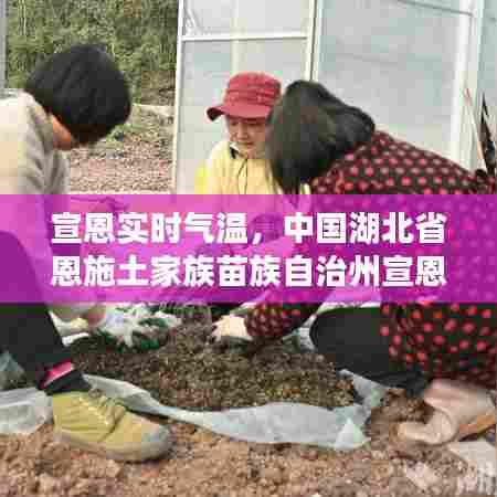 宣恩实时气温,中国湖北省恩施土家族苗族自治州宣恩县天气