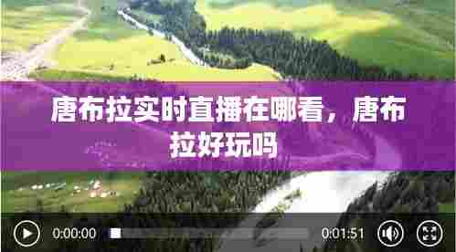 唐布拉实时直播在哪看,唐布拉好玩吗