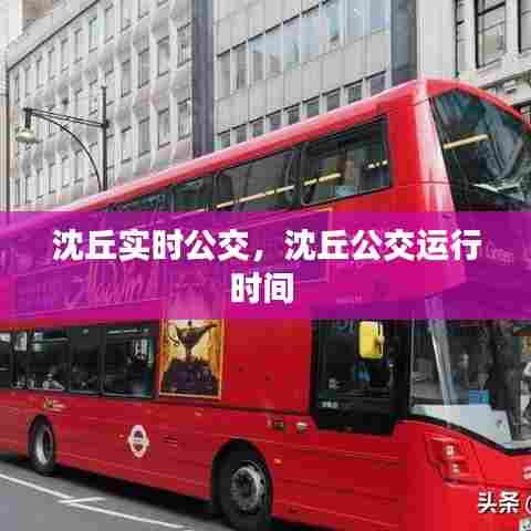 沈丘实时公交,沈丘公交运行时间