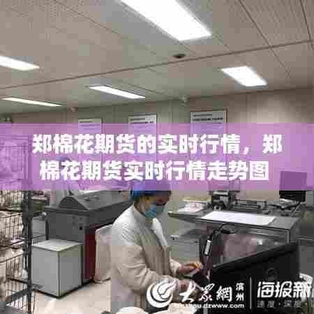 郑棉花期货的实时行情,郑棉花期货实时行情走势图