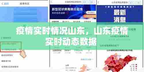 疫情实时情况山东,山东疫情实时动态数据