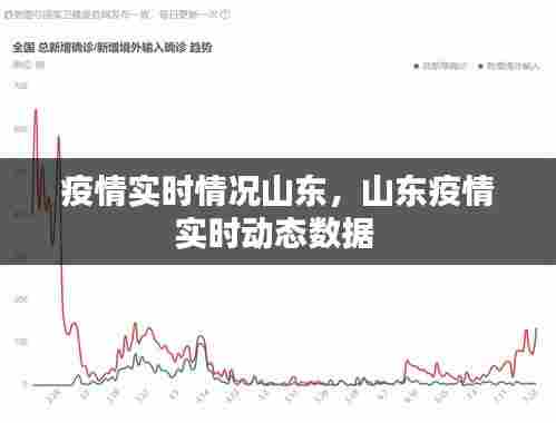 疫情实时情况山东,山东疫情实时动态数据