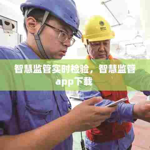 智慧监管实时检验，智慧监管app下载 