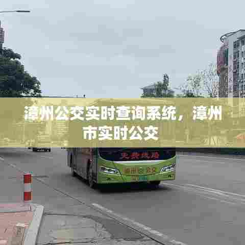 漳州公交实时查询系统,漳州市实时公交