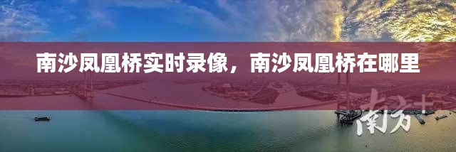 南沙凤凰桥实时录像，南沙凤凰桥在哪里 