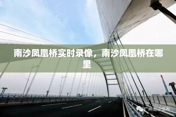 南沙凤凰桥实时录像,南沙凤凰桥在哪里