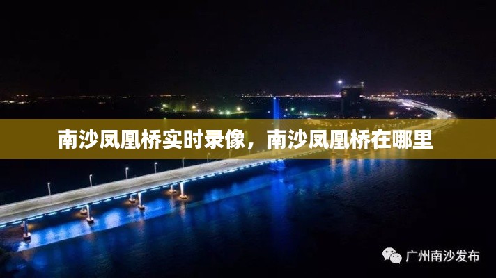 南沙凤凰桥实时录像,南沙凤凰桥在哪里