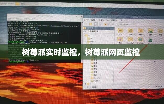 树莓派实时监控，树莓派网页监控 