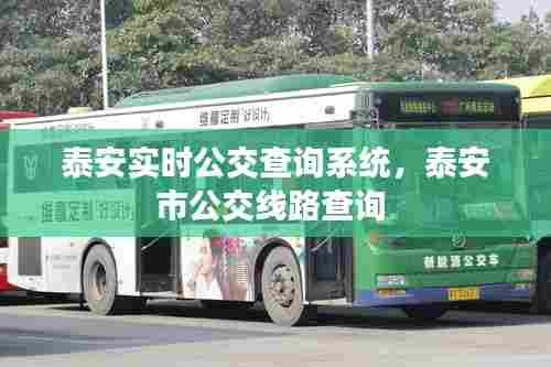 泰安实时公交查询系统，泰安市公交线路查询 