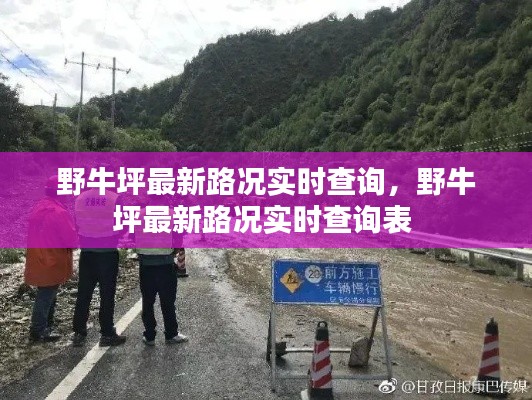 野牛坪最新路况实时查询，野牛坪最新路况实时查询表 