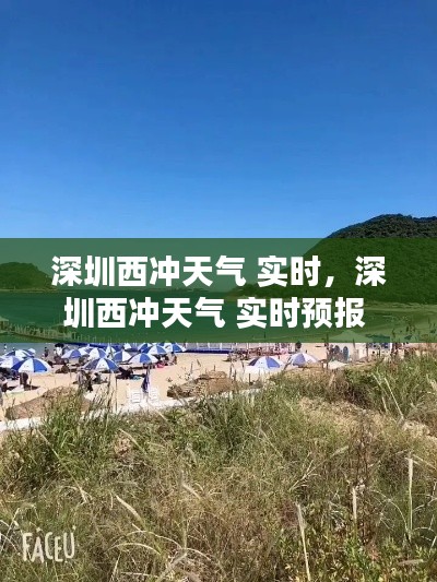 深圳西冲天气 实时，深圳西冲天气 实时预报 