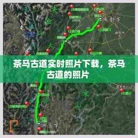 漫天飞舞 第8页