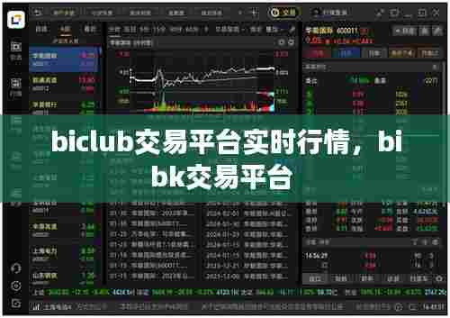 biclub交易平台实时行情，bibk交易平台 