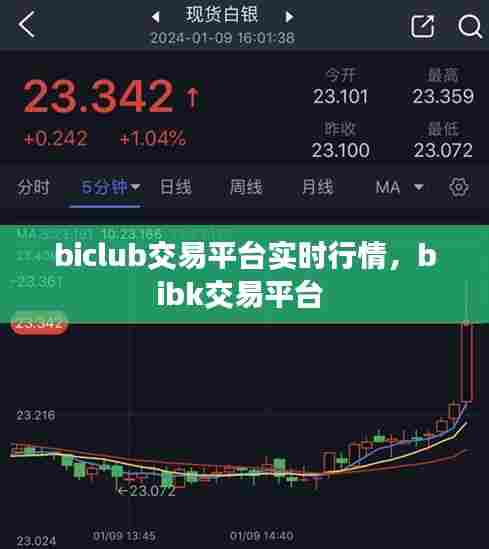 biclub交易平台实时行情,bibk交易平台