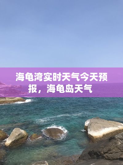 海龟湾实时天气今天预报,海龟岛天气
