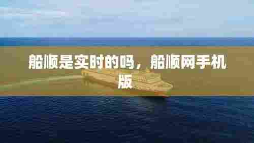 船顺是实时的吗，船顺网手机版 