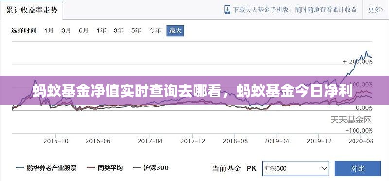 蚂蚁基金净值实时查询去哪看,蚂蚁基金今日净利