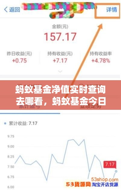 蚂蚁基金净值实时查询去哪看,蚂蚁基金今日净利