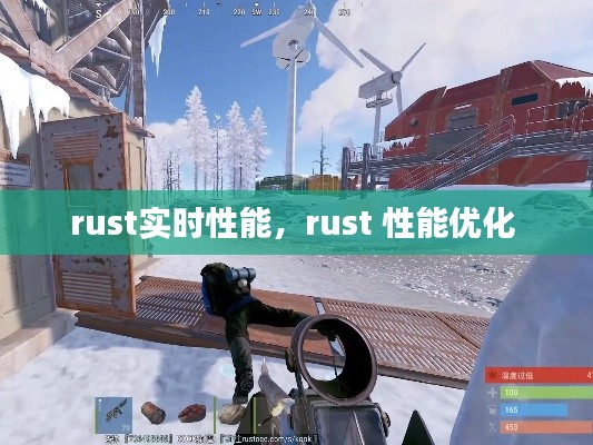 rust实时性能，rust 性能优化 