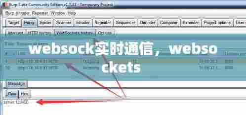 websock实时通信，websockets 