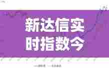 新达信实时指数今日净值，新达信实时指数今日净值是多少 