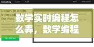 数学实时编程怎么弄，数学编程视频教学 